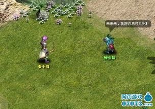 即时战斗角色类网页游戏 仙域 小评