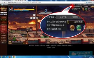 5336网页游戏助手